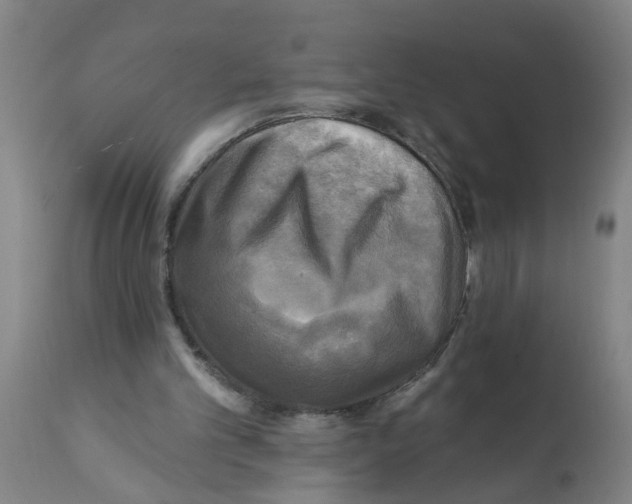 X0000112100101200909151210