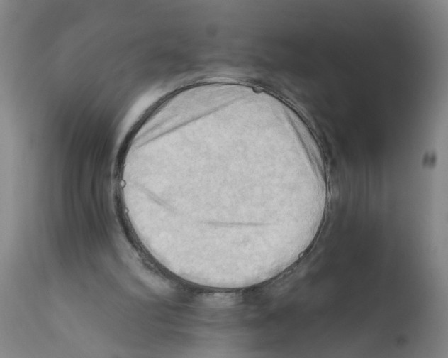 X0000112100102200909151210