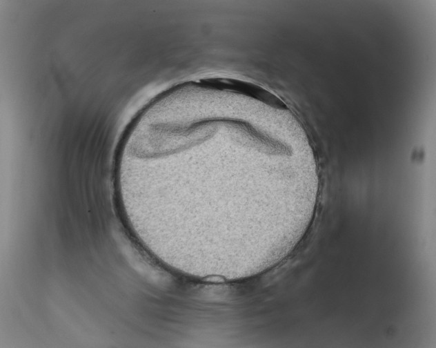 X0000112100104200909151210