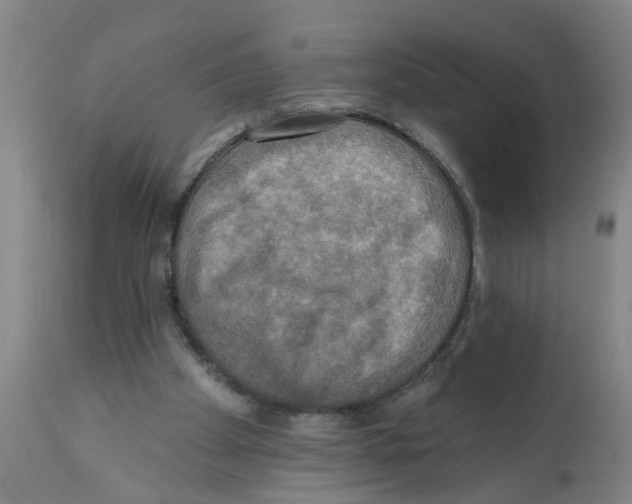 X0000112100105200909151210