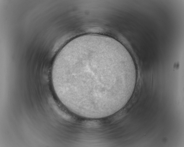 X0000112100106200909151209