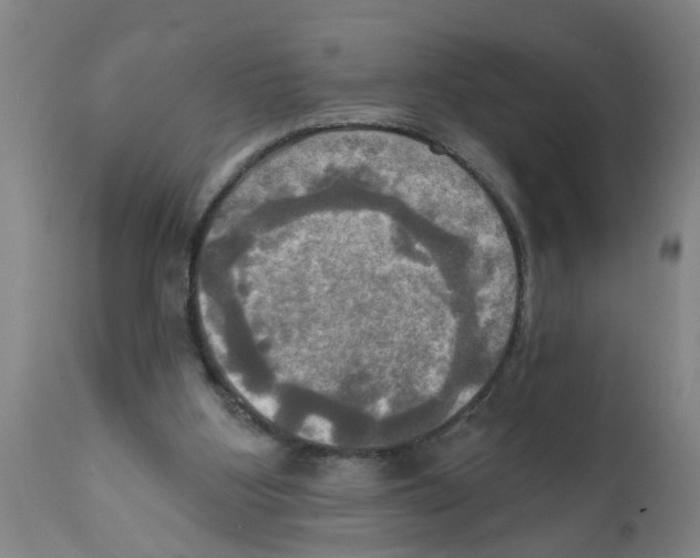 X0000112100107200909151209