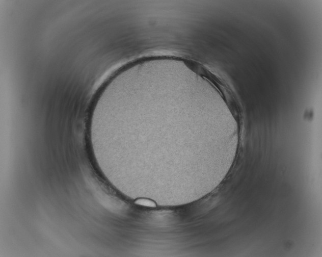 X0000112100108200909151209