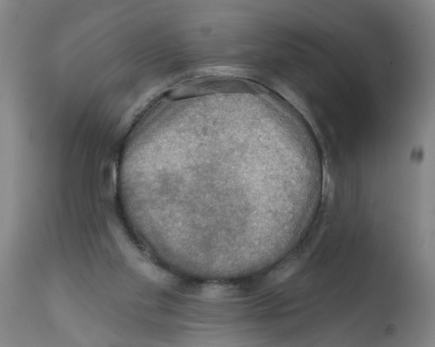 X0000112100109200909151209