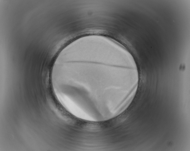X0000112100110200909151209
