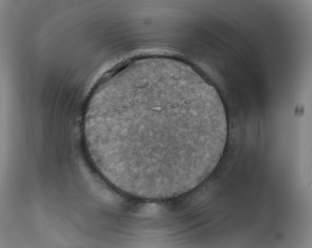 X0000112100111200909151209