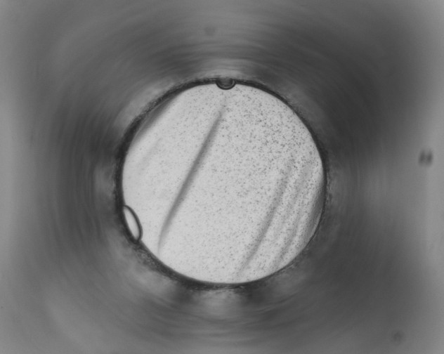 X0000112100112200909151209