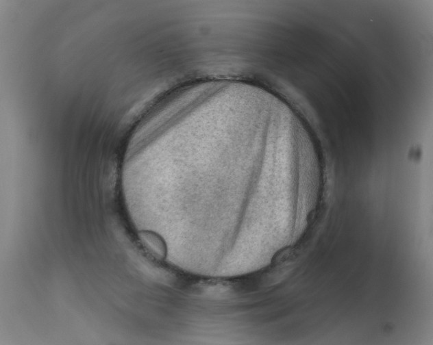 X0000112100113200909151209