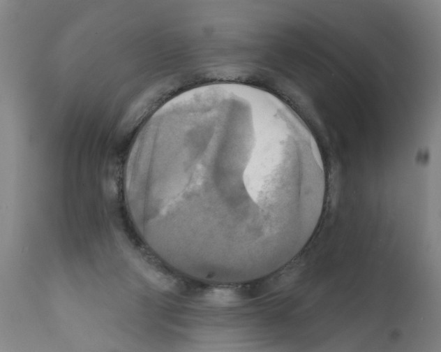 X0000112100114200909151209