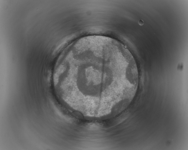 X0000112100115200909151209