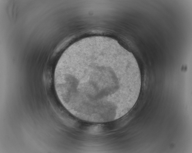 X0000112100116200909151209
