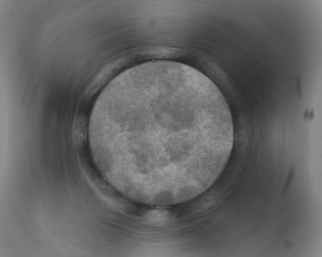 X0000112100119200909151209