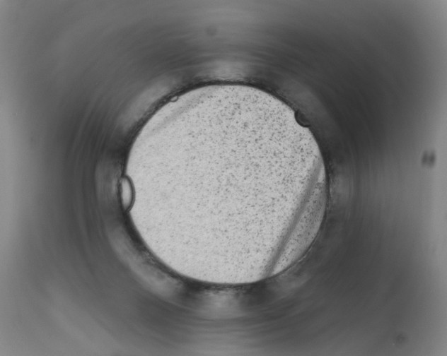 X0000112100120200909151209