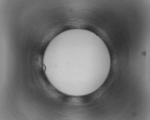 X0000112100121200909151209