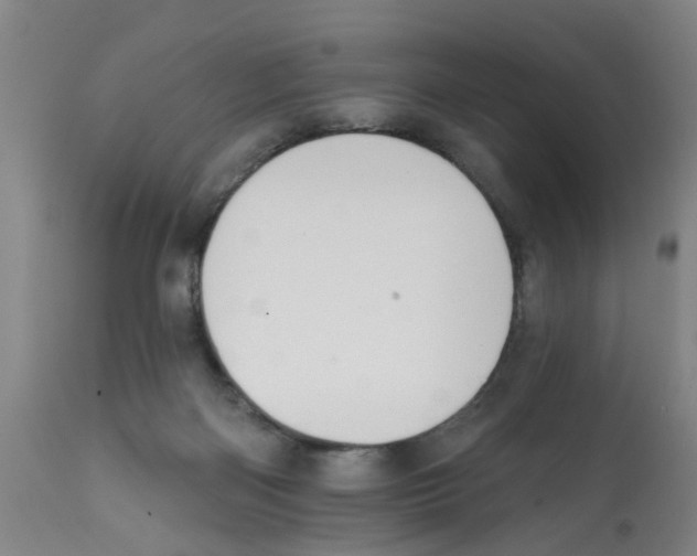 X0000112100122200909151209