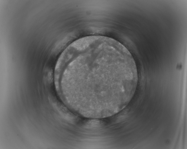 X0000112100123200909151209