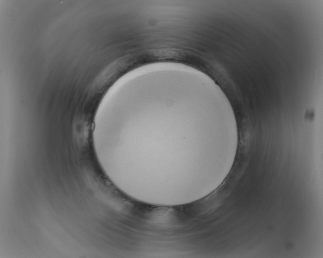 X0000112100124200909151209