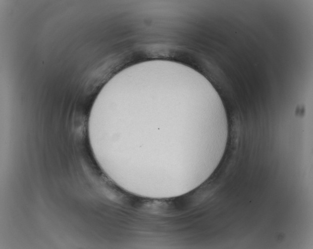 X0000112100125200909151209