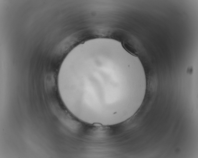 X0000112100128200909151209