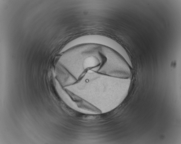 X0000112100129200909151209