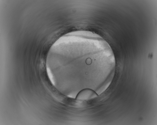 X0000112100130200909151209