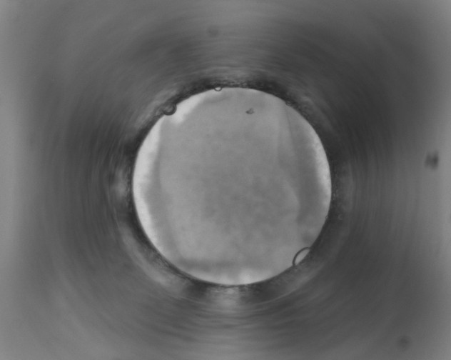 X0000112100131200909151209