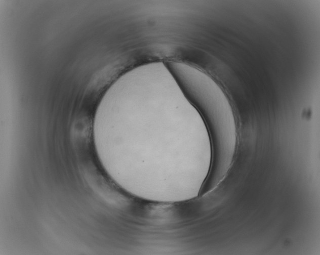 X0000112100132200909151209