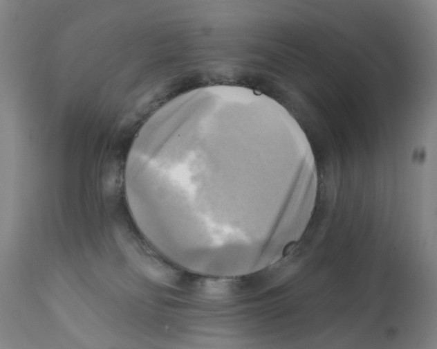 X0000112100134200909151209