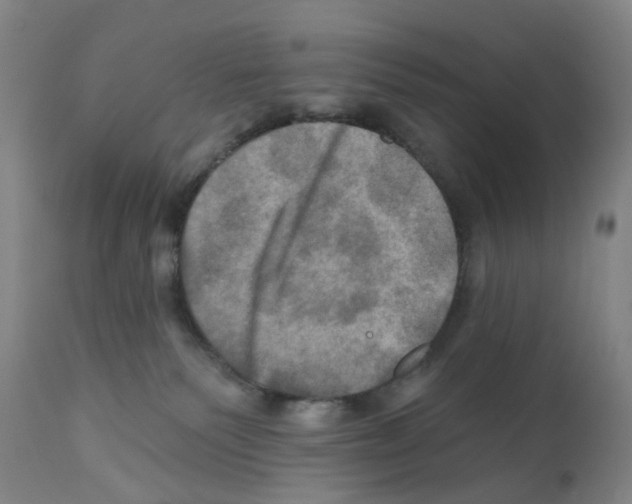 X0000112100135200909151209