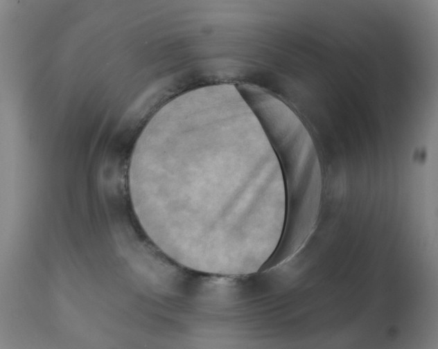 X0000112100140200909151209