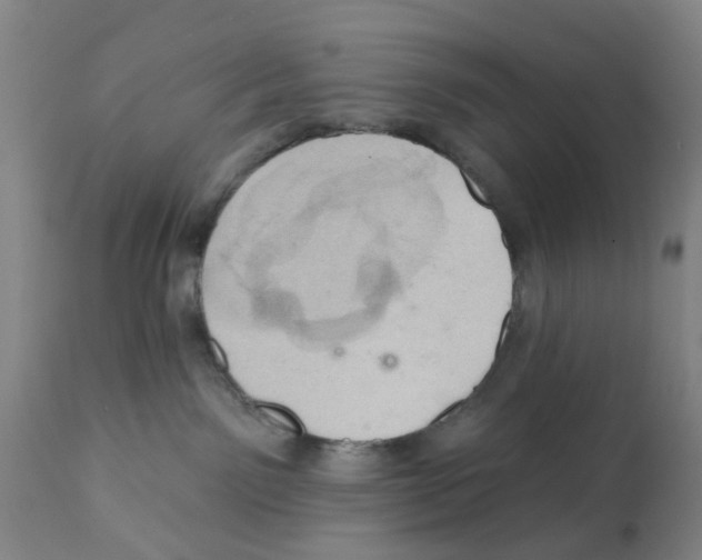 X0000112100141200909151209