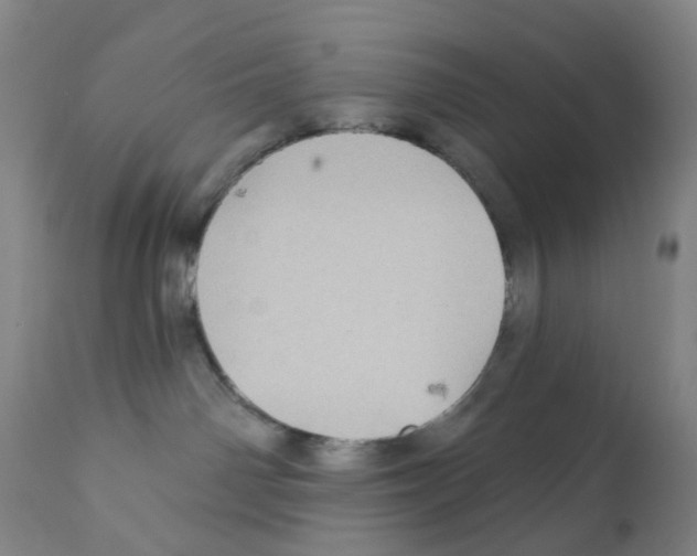 X0000112100142200909151209