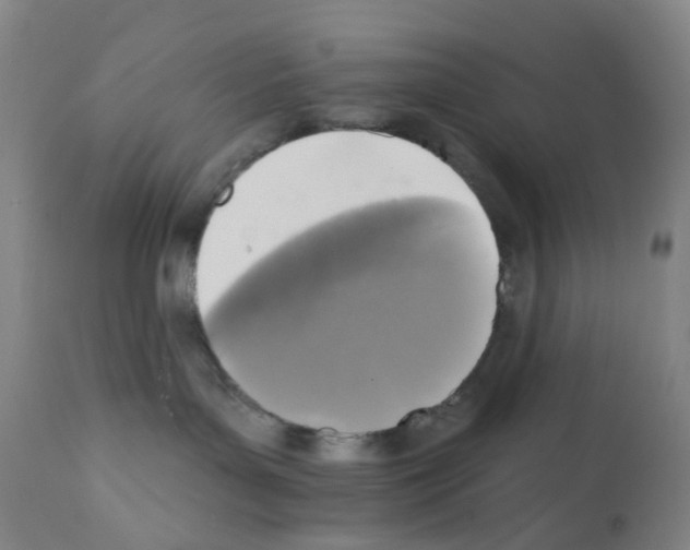 X0000112100143200909151209