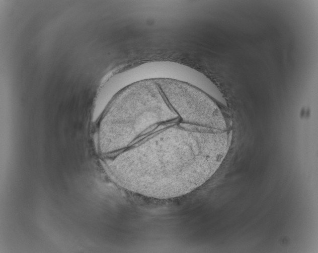 X0000112100144200909151209
