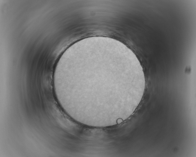 X0000112100146200909151208