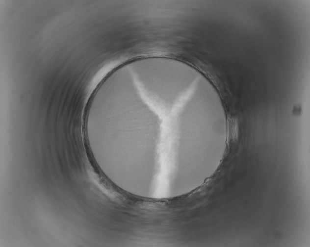 X0000112100147200909151208