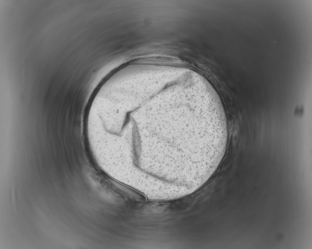 X0000112100148200909151208