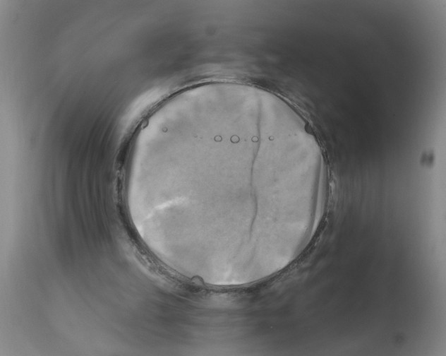 X0000112100149200909151208
