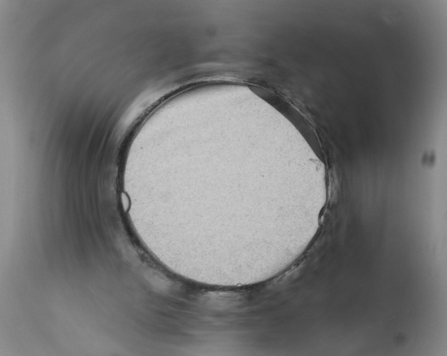X0000112100150200909151208