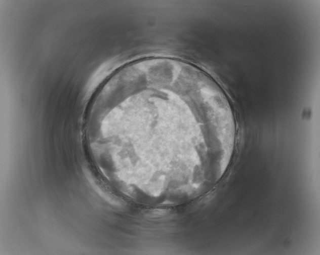 X0000112100151200909151208