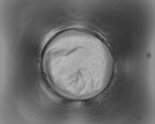 X0000112100152200909151208
