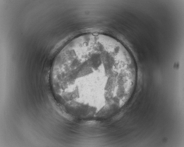 X0000112100153200909151208