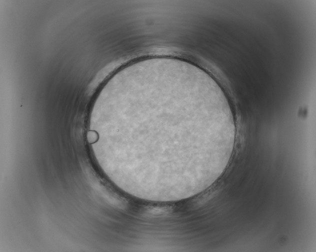 X0000112100155200909151208