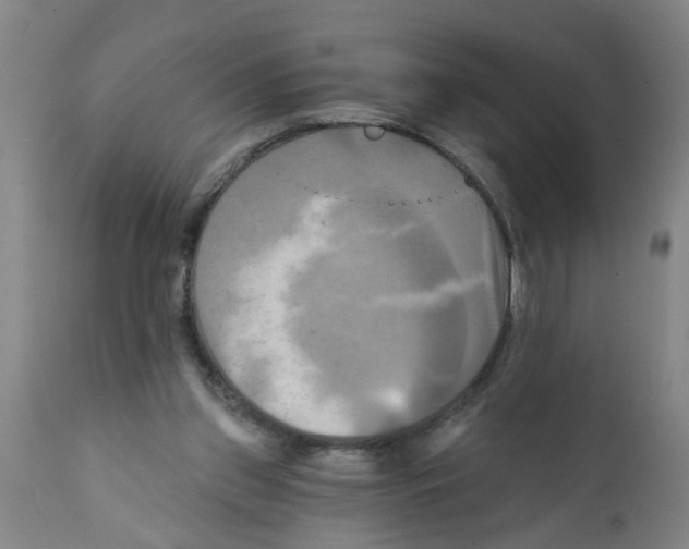 X0000112100157200909151208