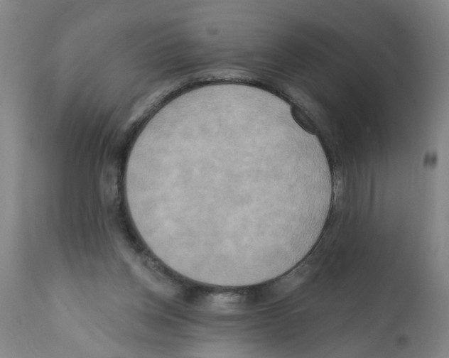 X0000112100158200909151208