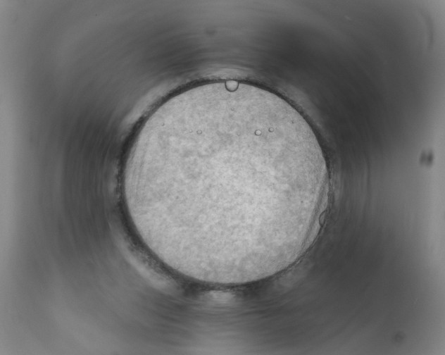 X0000112100159200909151209