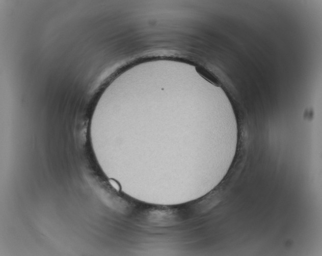 X0000112100160200909151209