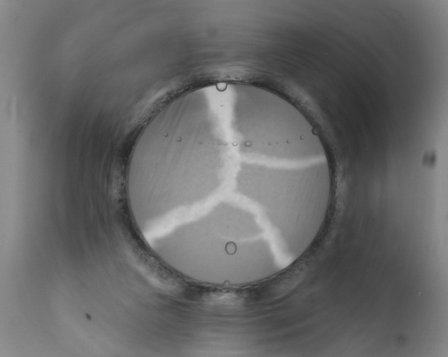 X0000112100161200909151209