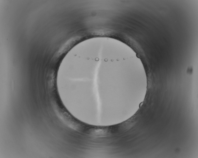X0000112100163200909151209