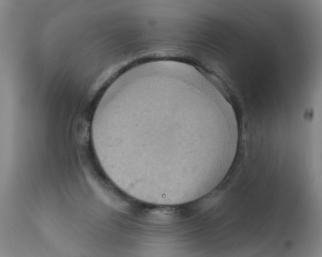 X0000112100164200909151209